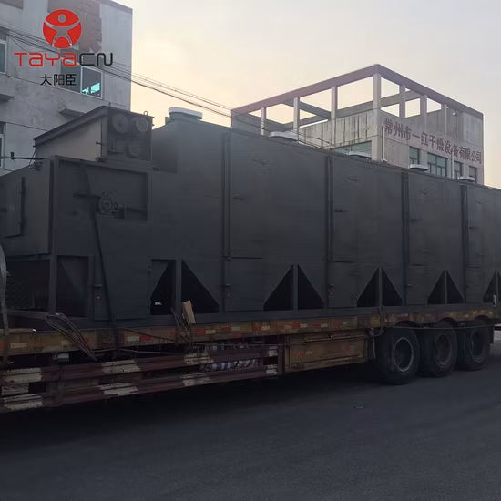 Одноленточная сушилка серии Dw